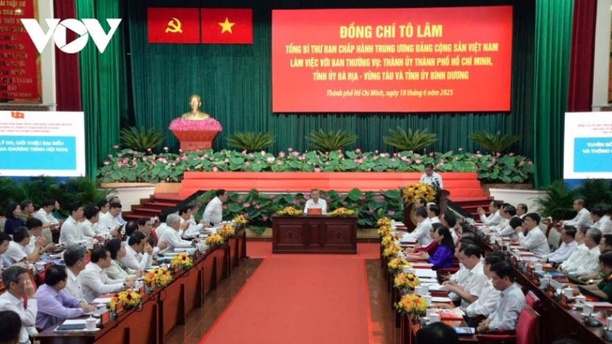 Party chief calls for new governance model to steer HCM City as international megacity